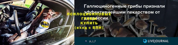 ПСИЛОЦИБИНОВЫЕ ГРИБЫ Балахна
