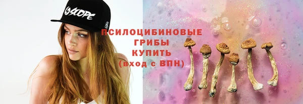 прущие грибы Арсеньев