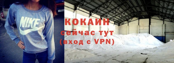 прущие грибы Арсеньев