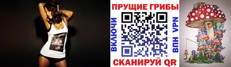 Галлюциногенные грибы Magic Shrooms  blacksprut ССЫЛКА  Ленинск  купить наркотик 